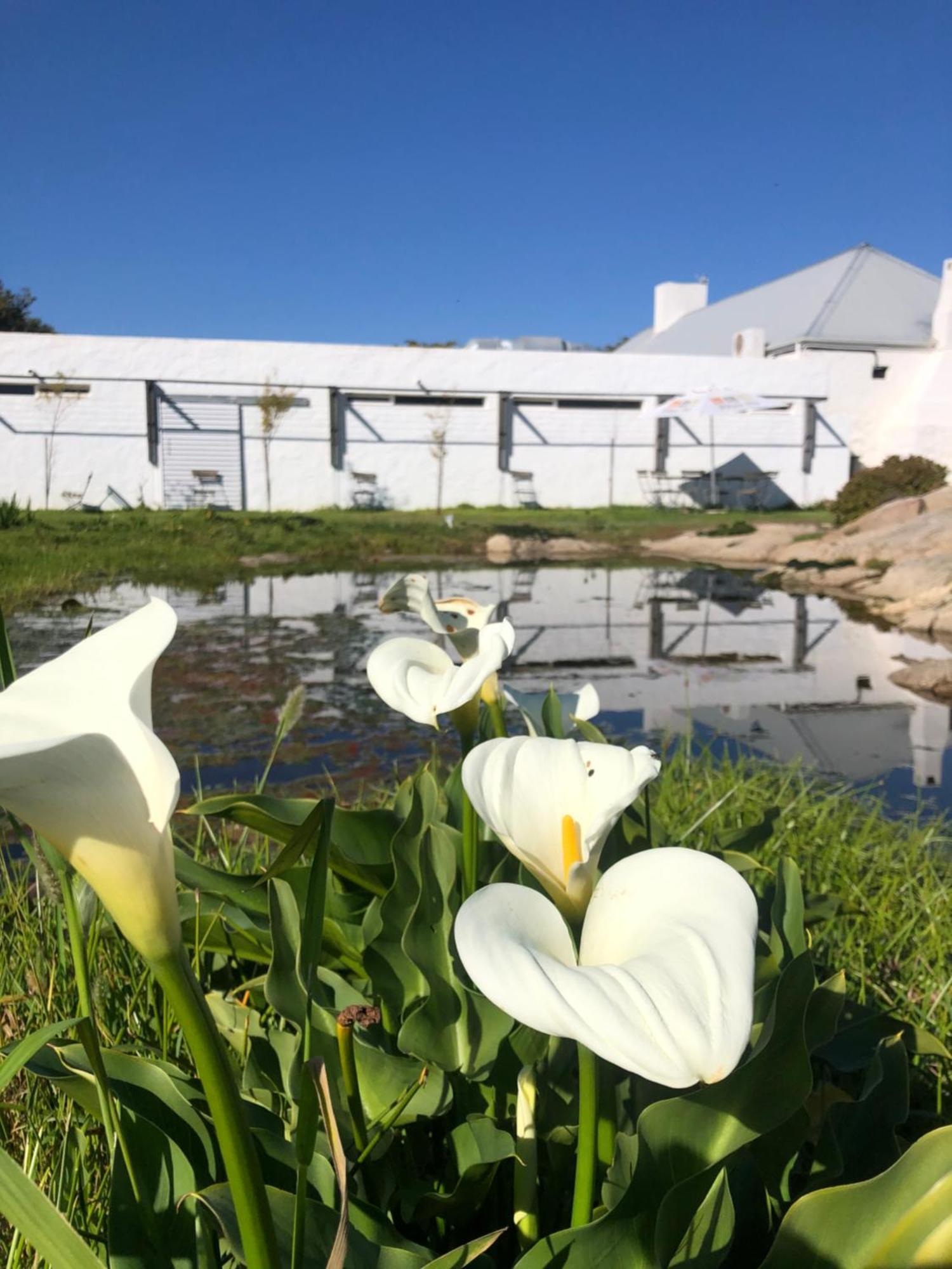 Bed and Breakfast !Khwa Ttu Swartwater Esterno foto