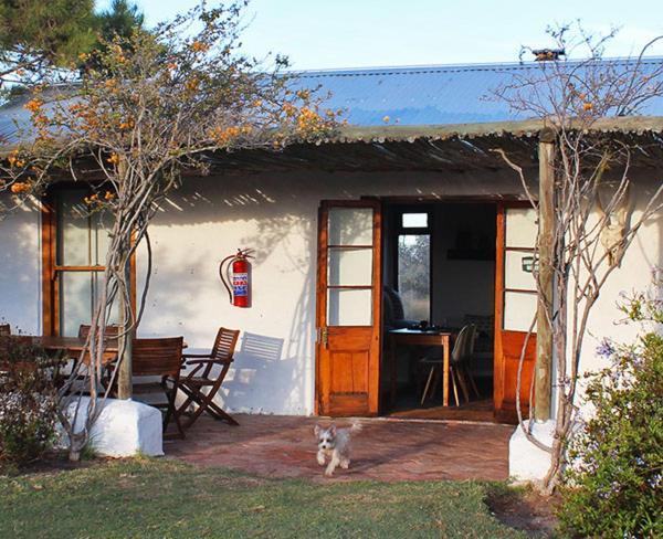 Bed and Breakfast !Khwa Ttu Swartwater Esterno foto